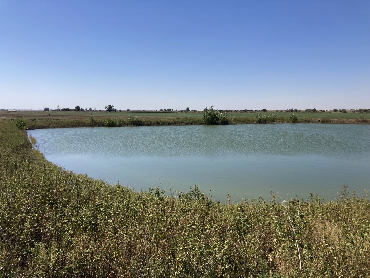 Water-Storage-Pond-Colorado-Otero-County-Irrigated-Farm Water-Storage-Pond-Colorado-Otero-County-Irrigated-Farm