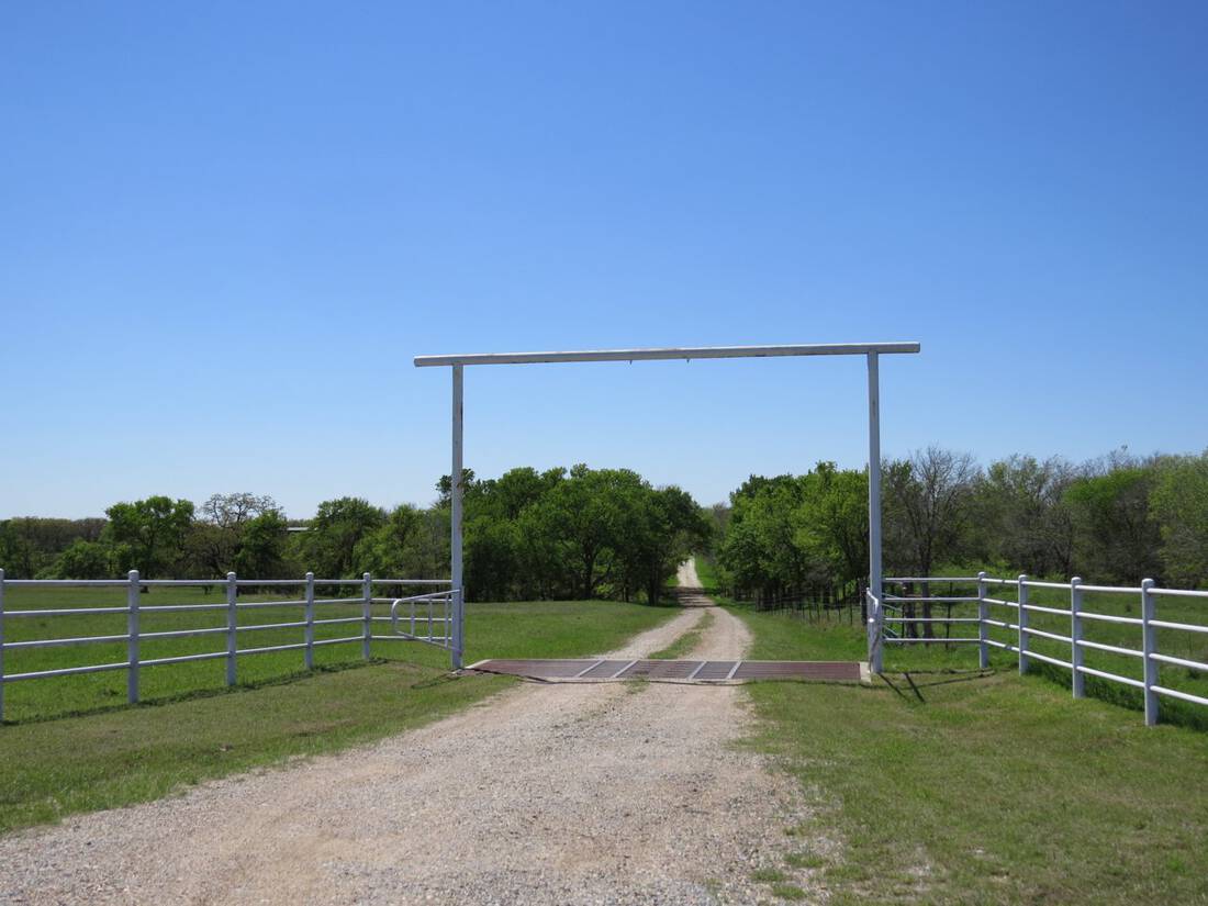 Packwood Ranch - Hill County - Limestone County - Waco - Cattle Ranch - Hunting Ranch - Republic Ranches - Bryan Pickens - Texas - 11 of 58 (1)