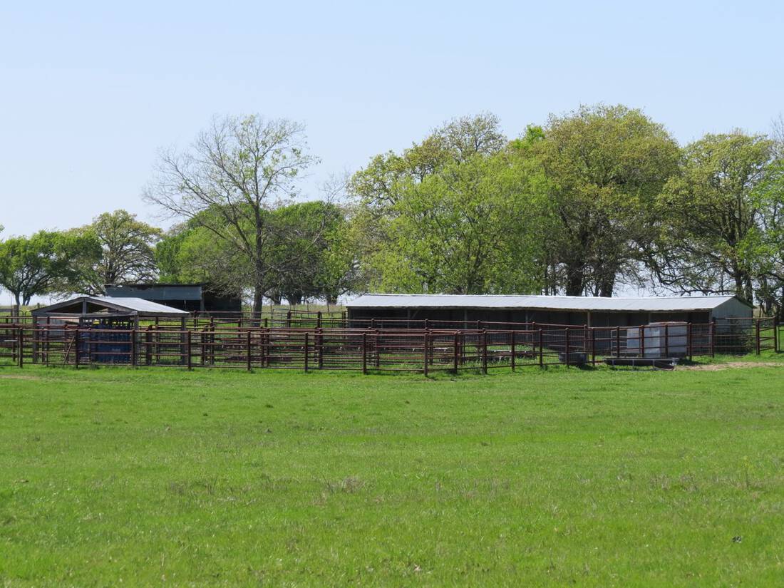 Packwood Ranch - Hill County - Limestone County - Waco - Cattle Ranch - Hunting Ranch - Republic Ranches - Bryan Pickens - Texas - 27 of 58 (1)