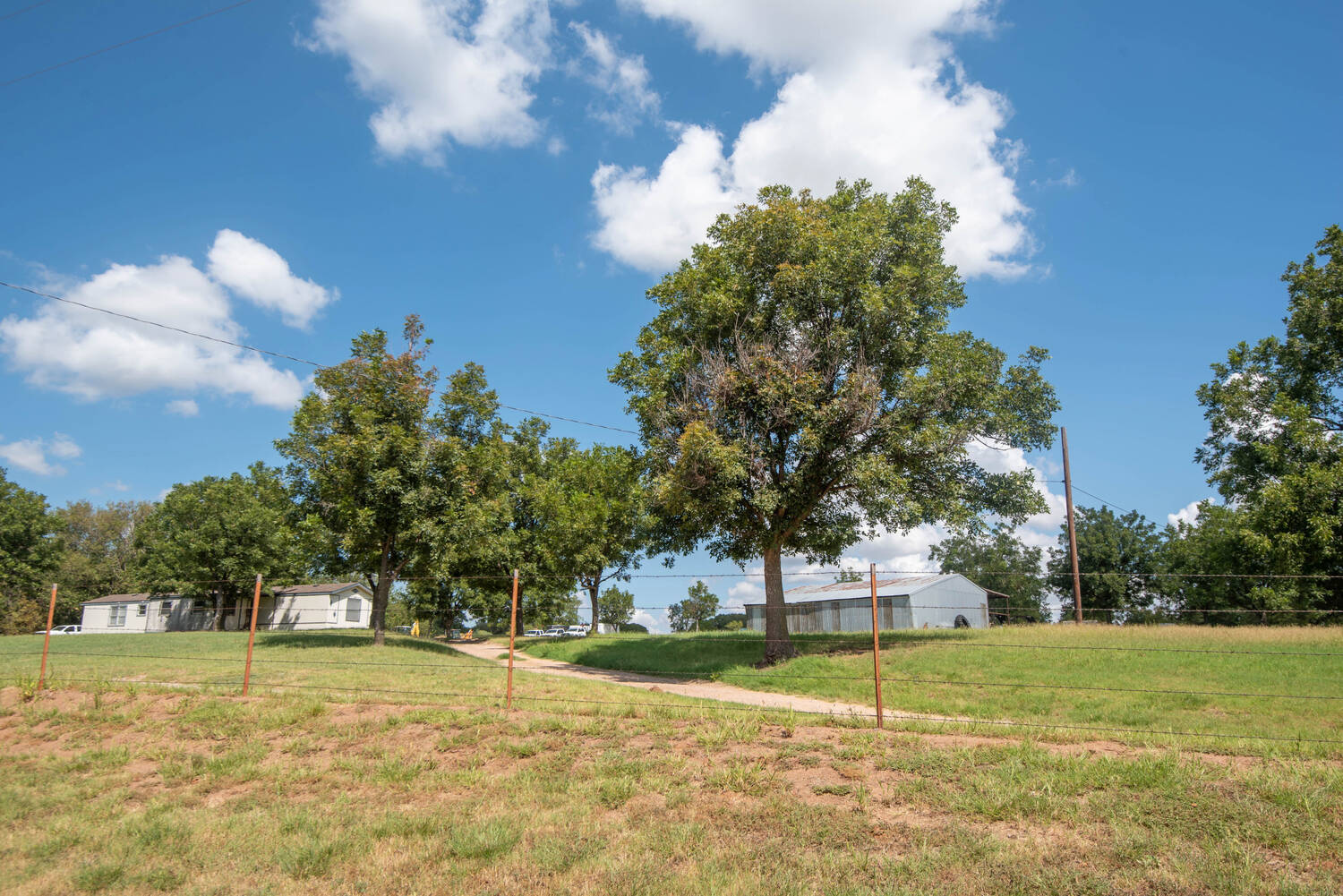 The-Pecan-Tract-Clay-County-Pecan-Orchard-Hunting-Ranch-TX-Republic-Ranches-Bryan-Pickens-1-of-15