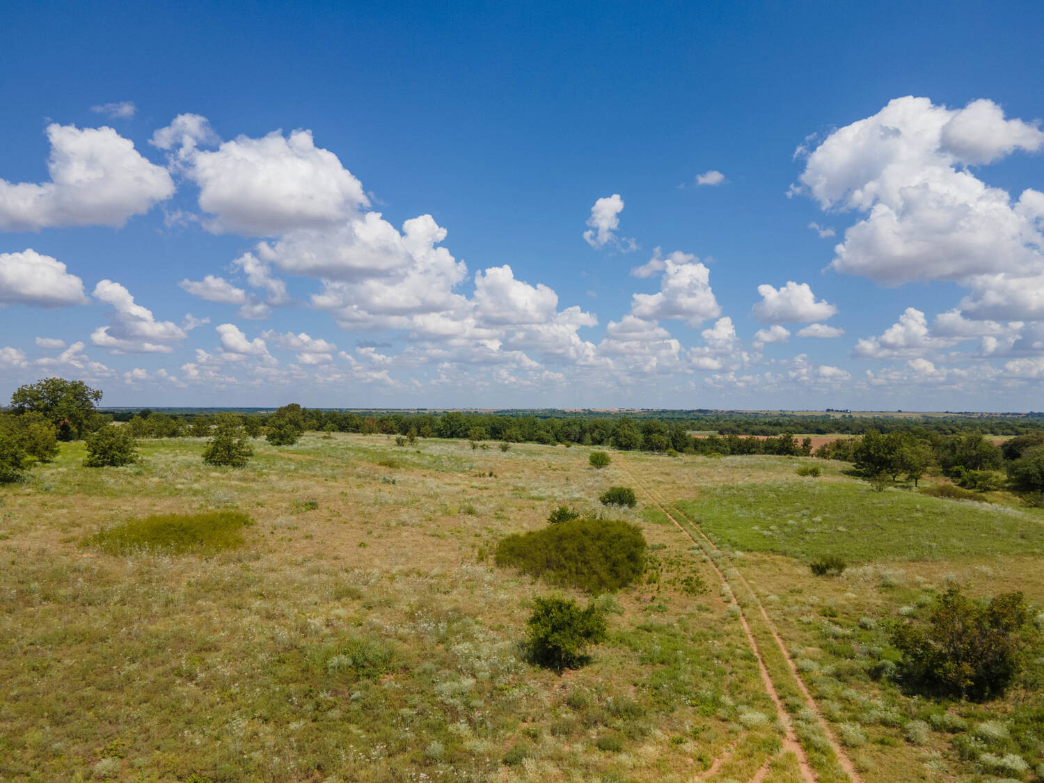 The-Pecan-Tract-Clay-County-Pecan-Orchard-Hunting-Ranch-TX-Republic-Ranches-Bryan-Pickens-15-of-15