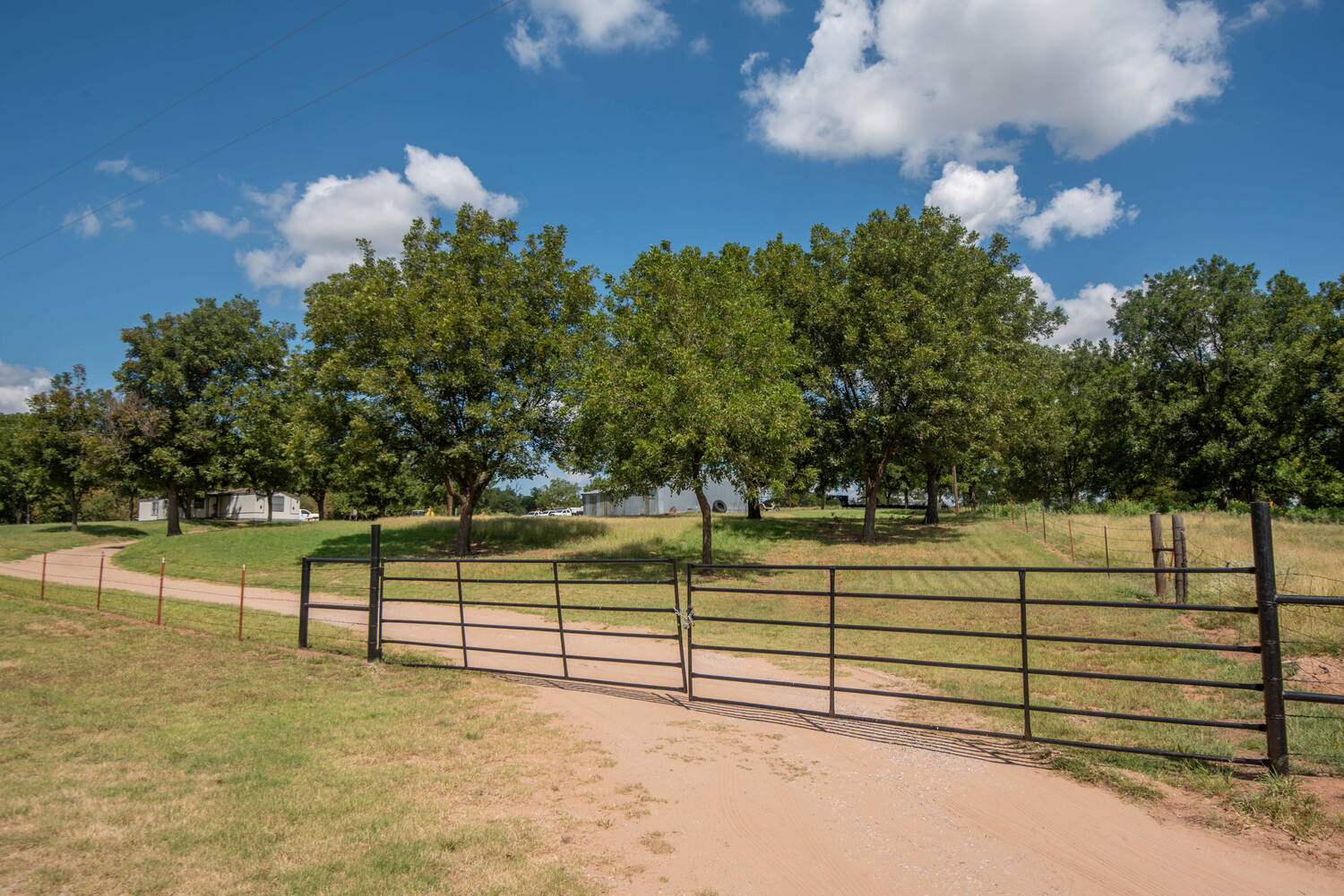 The-Pecan-Tract-Clay-County-Pecan-Orchard-Hunting-Ranch-TX-Republic-Ranches-Bryan-Pickens-2-of-15