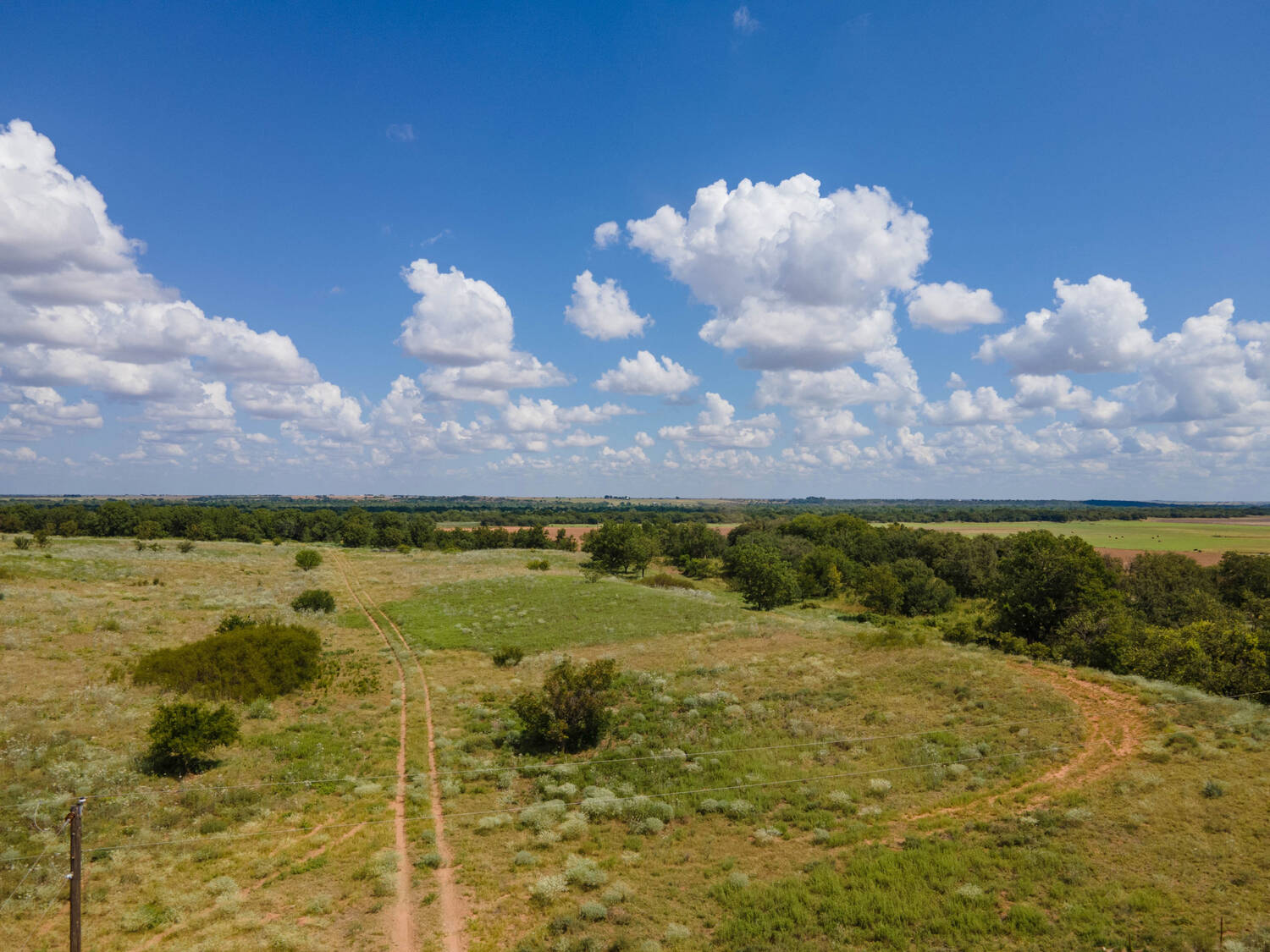 The-Pecan-Tract-Clay-County-Pecan-Orchard-Hunting-Ranch-TX-Republic-Ranches-Bryan-Pickens-3-of-15