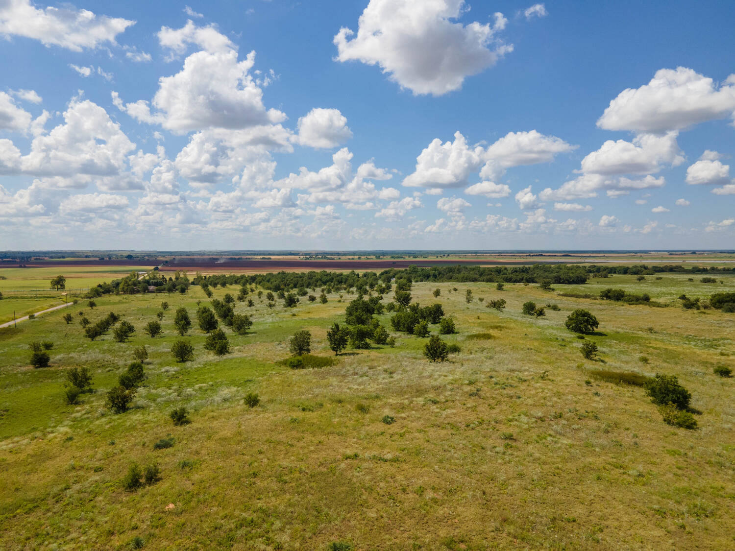 The-Pecan-Tract-Clay-County-Pecan-Orchard-Hunting-Ranch-TX-Republic-Ranches-Bryan-Pickens-4-of-15