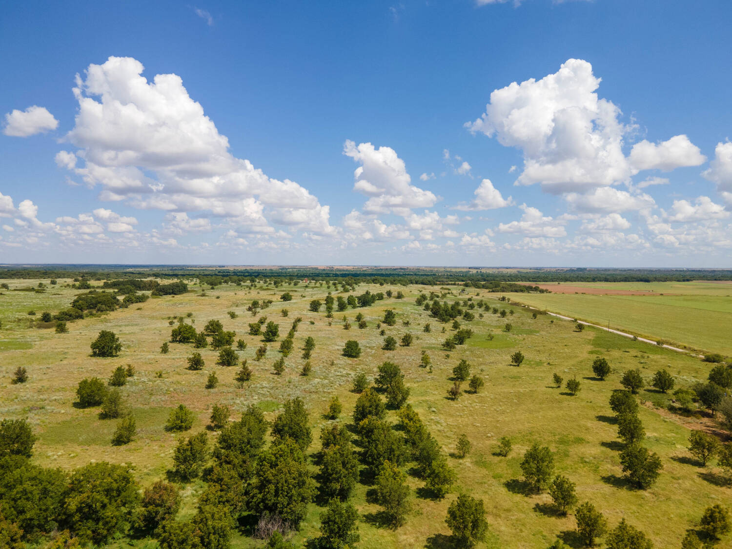 The-Pecan-Tract-Clay-County-Pecan-Orchard-Hunting-Ranch-TX-Republic-Ranches-Bryan-Pickens-7-of-15