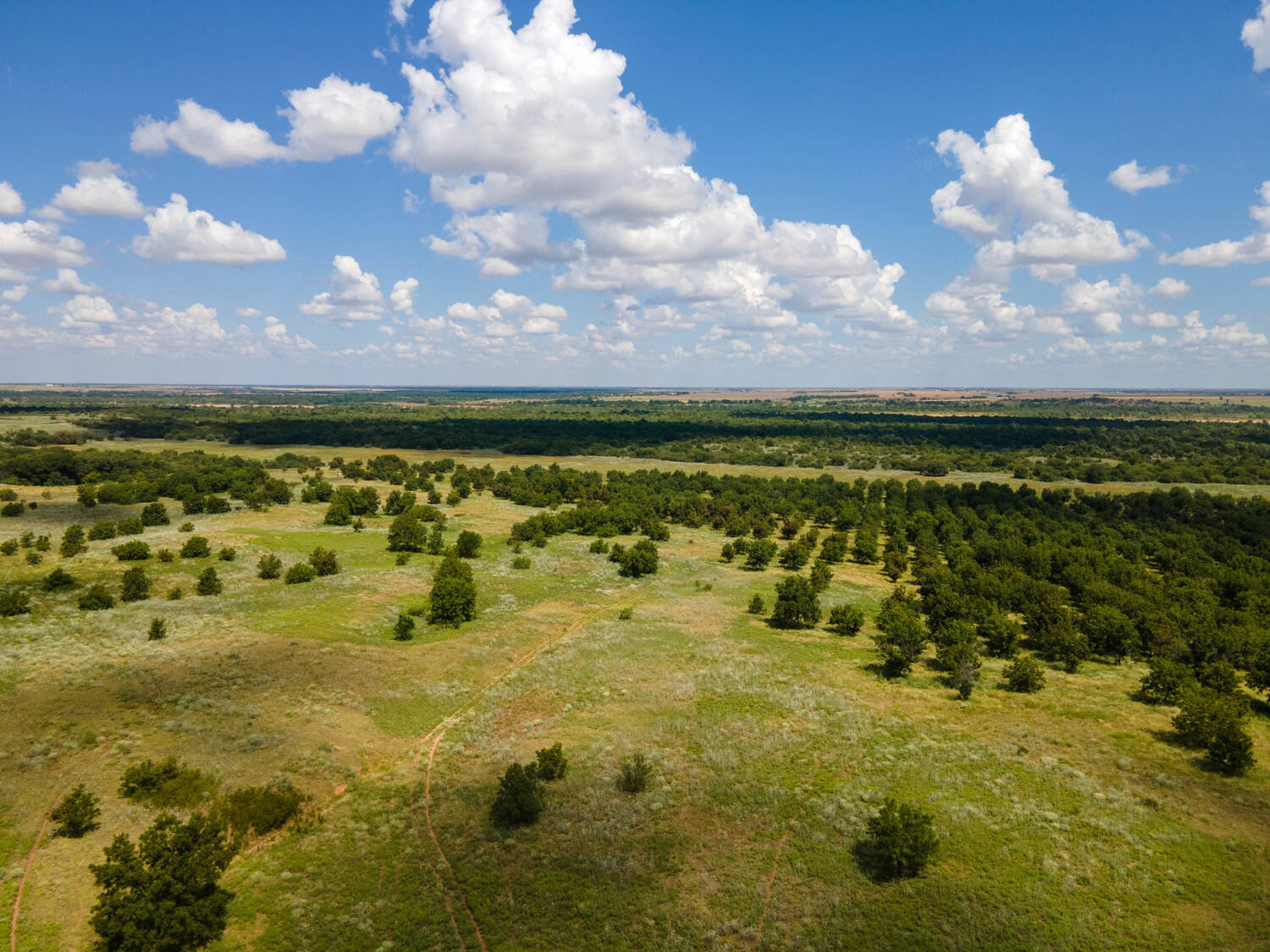 The-Pecan-Tract-Clay-County-Pecan-Orchard-Hunting-Ranch-TX-Republic-Ranches-Bryan-Pickens-9-of-15