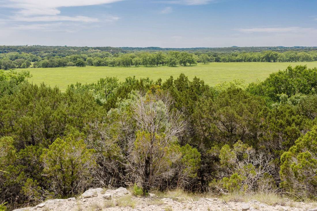 Tallon Martin Broker Ranch Real Estate Republic Ranches Texas Coryell County Cowhouse Creek -4677