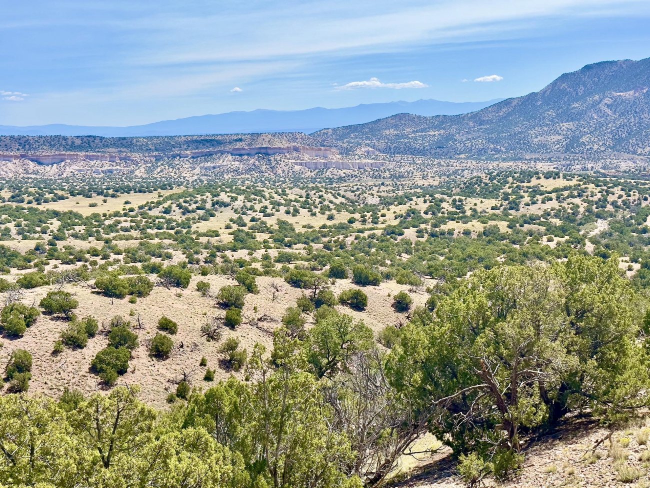 eastern-meadows-new-mexico-plaza-blanca