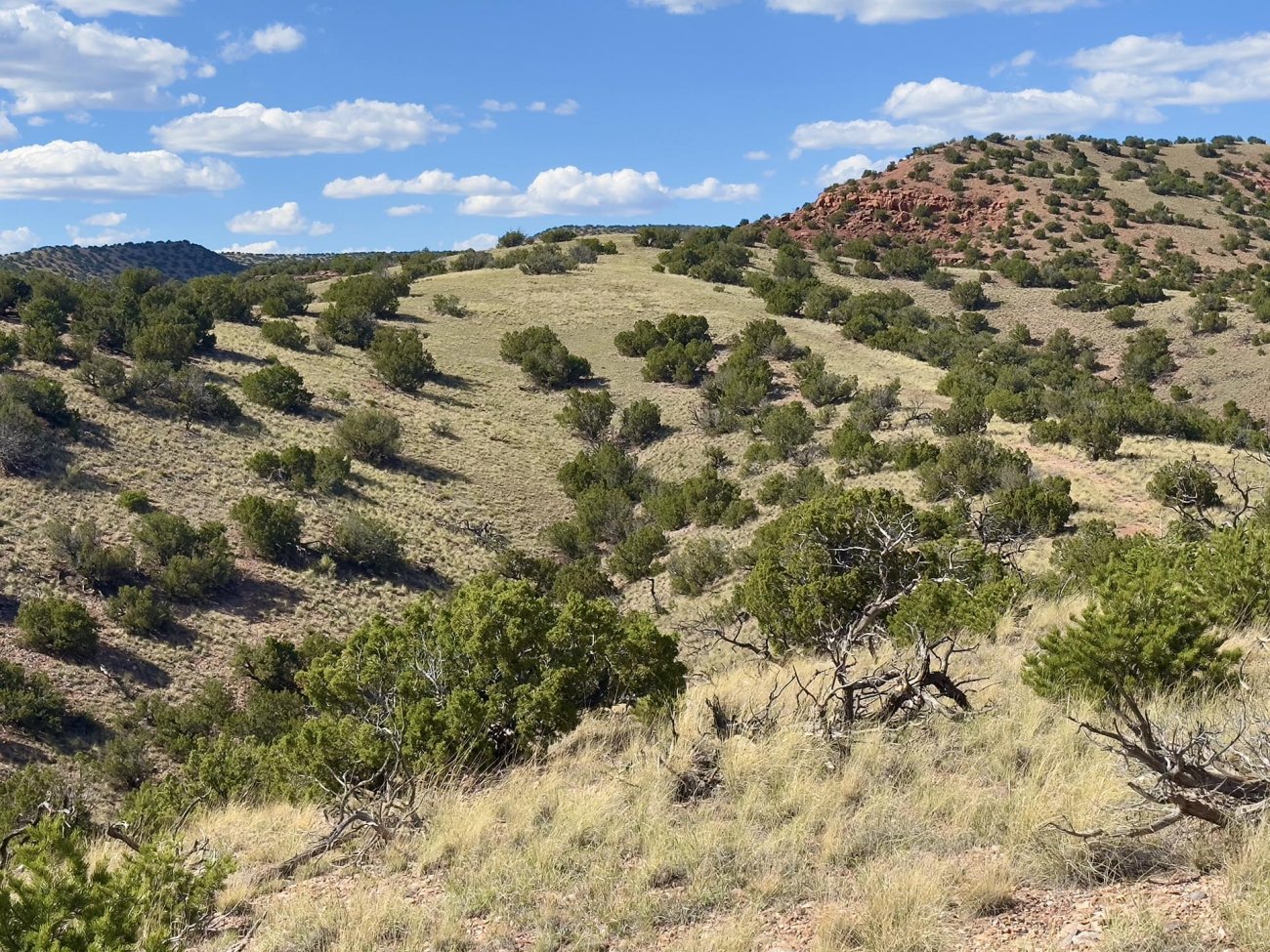 green-hills-new-mexico-plaza-blanca