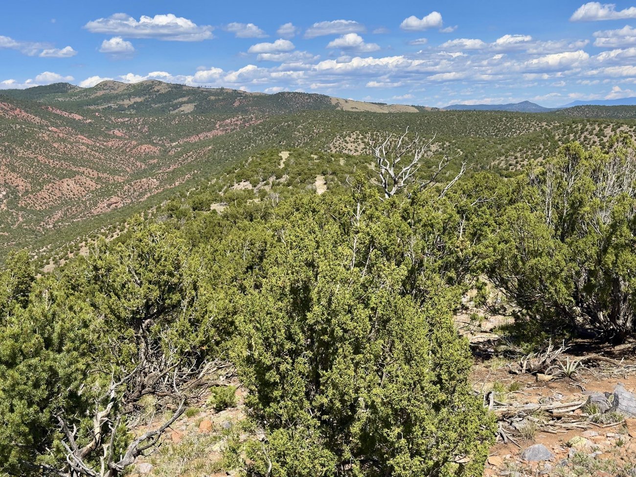 green-ridge-new-mexico-plaza-blanca