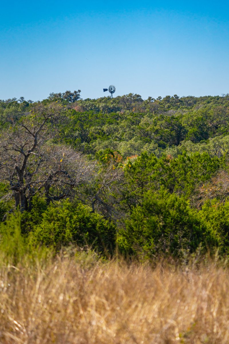 14-windmill 14-windmill