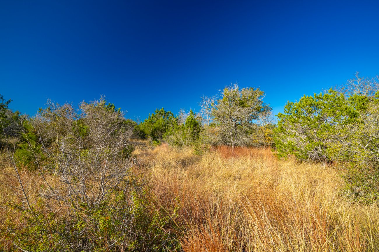 16-great-grass-and-trees 16-great-grass-and-trees