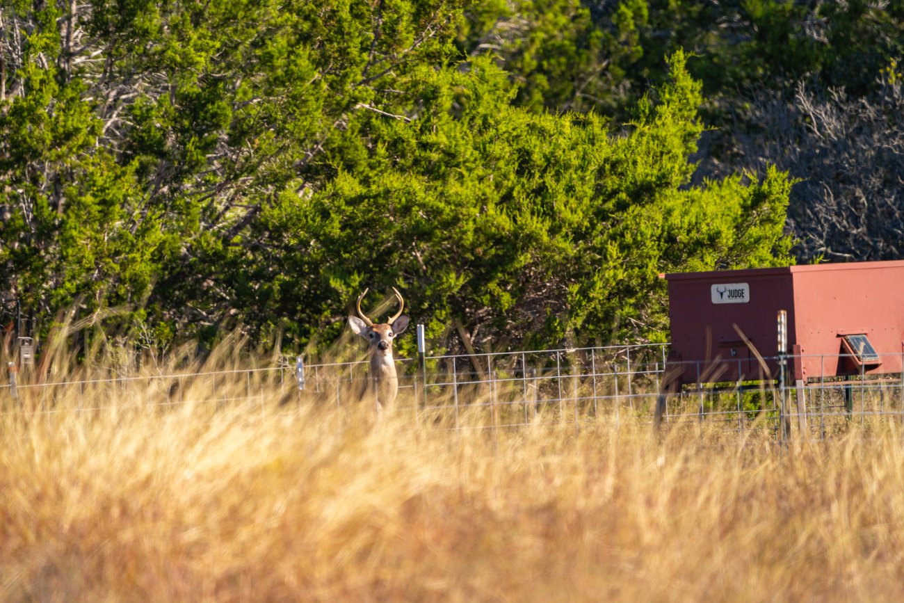 19-young-un 19-young-un