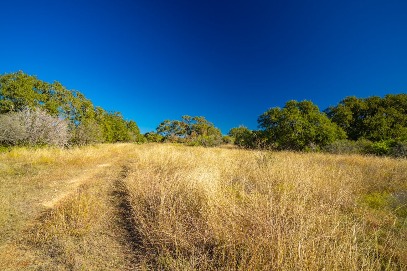 26-great-oaks 26-great-oaks