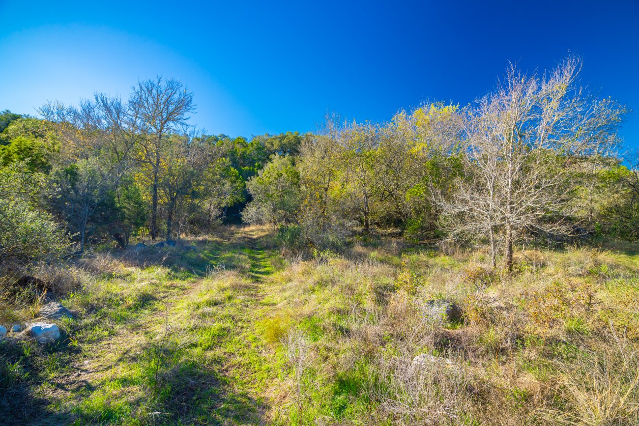 27-more-bottomland 27-more-bottomland