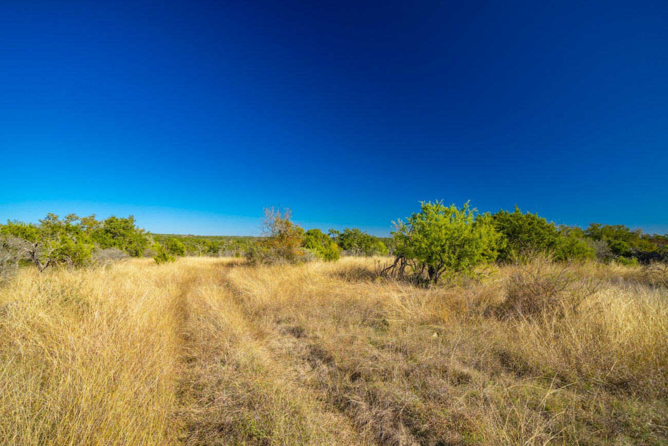 28-more-grass 28-more-grass