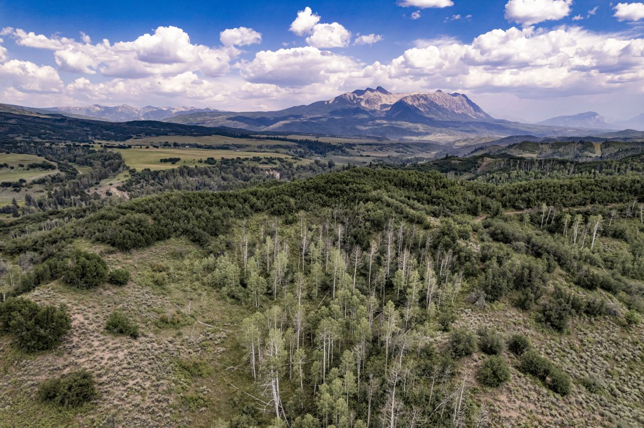 Aspen-Grove-2-Colorado-Ragged-Mountain-Ranch