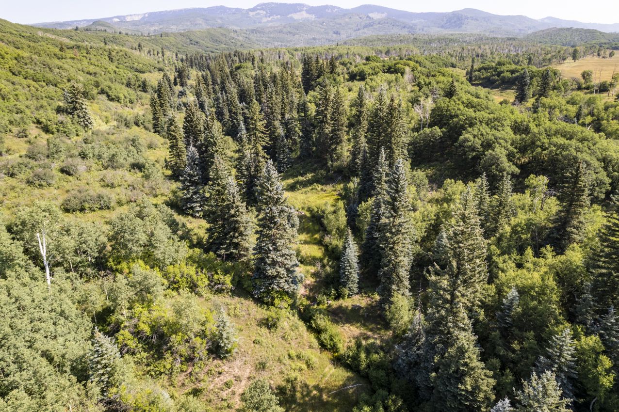 Scrub-Oak-and-Pines-Colorado-Ragged-Mountain-Ranch