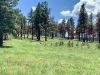 building-site-2-new-mexico-rancho-san-ignacio