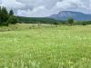green-meadow-rain-peak-upper-sapello-brush-new-mexico-rancho-san-ignacio