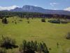 rito-colorado-meadow-hermits-peak-new-mexico-rancho-san-ignacio