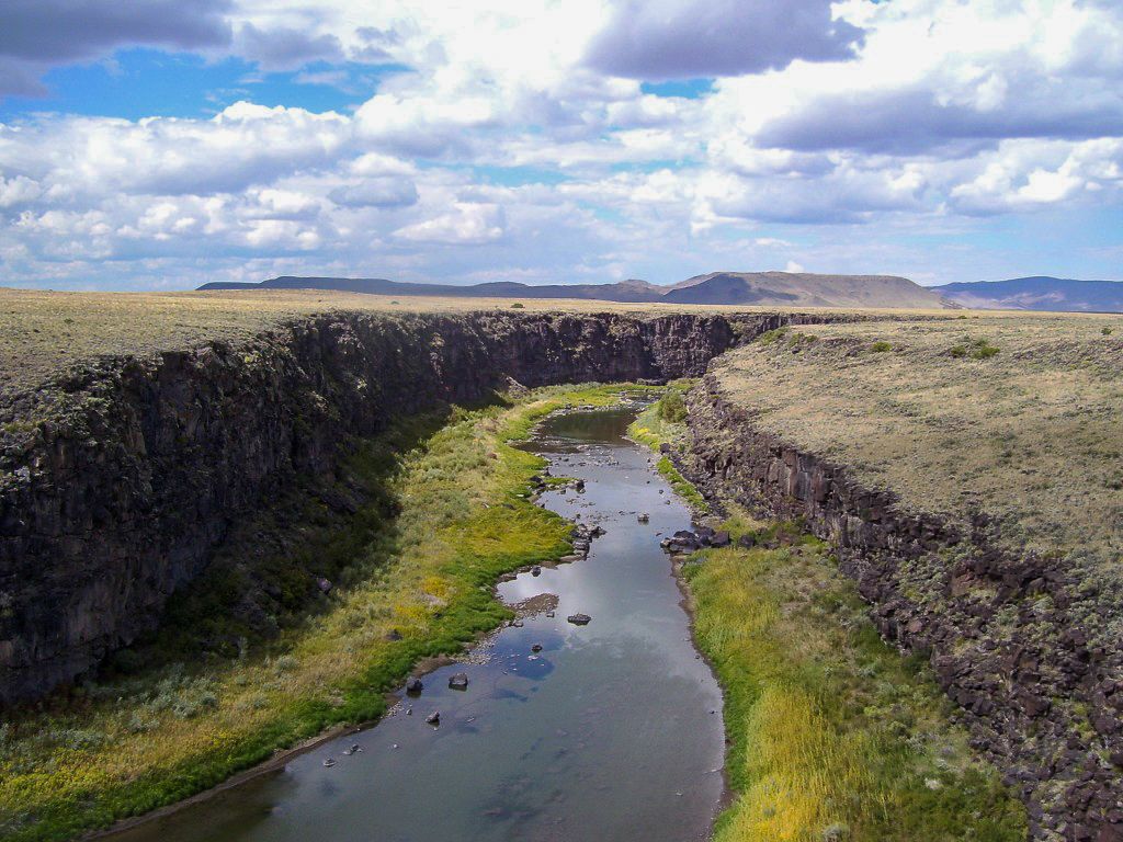 private-river-view-wildlife-deer-elk-colorado-rio-grande-del-norte-ranch