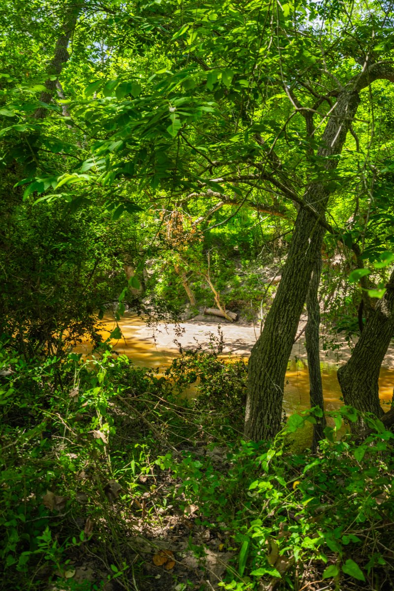 A7509210 A7509210