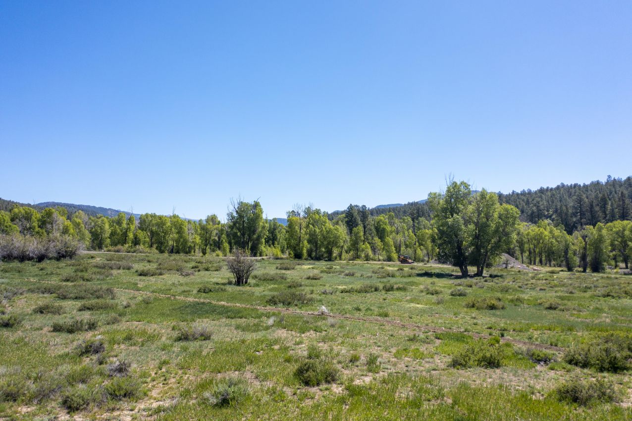 Cottonwood-Lined-North-Meadow-Colorado-The-River-Ranch