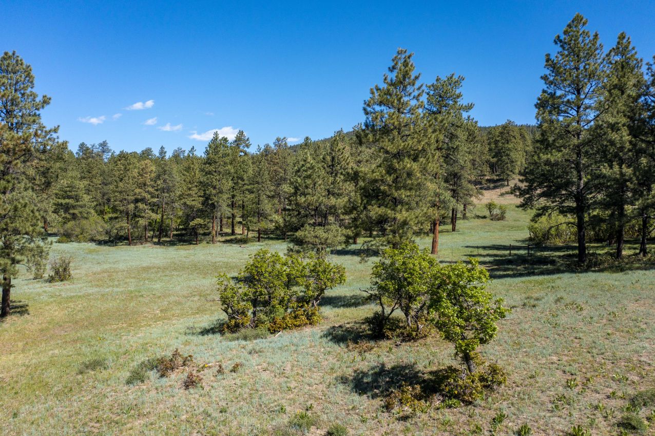 San-Juan-National-Forest-View-Colorado-The-River-Ranch