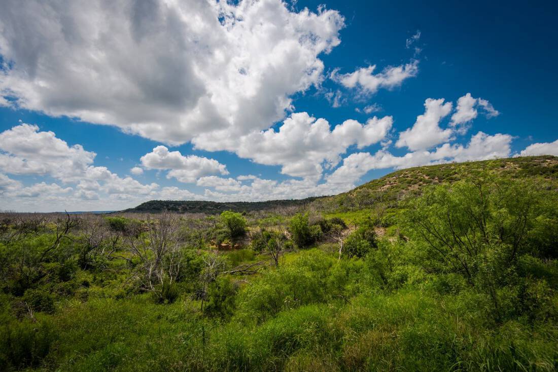 Robertson Creek Ranch - Sweetwater, Nolan County - West Texas Hunting - High Fence Game Ranch - Republic Ranches - Bryan Pickens - 20 of 122
