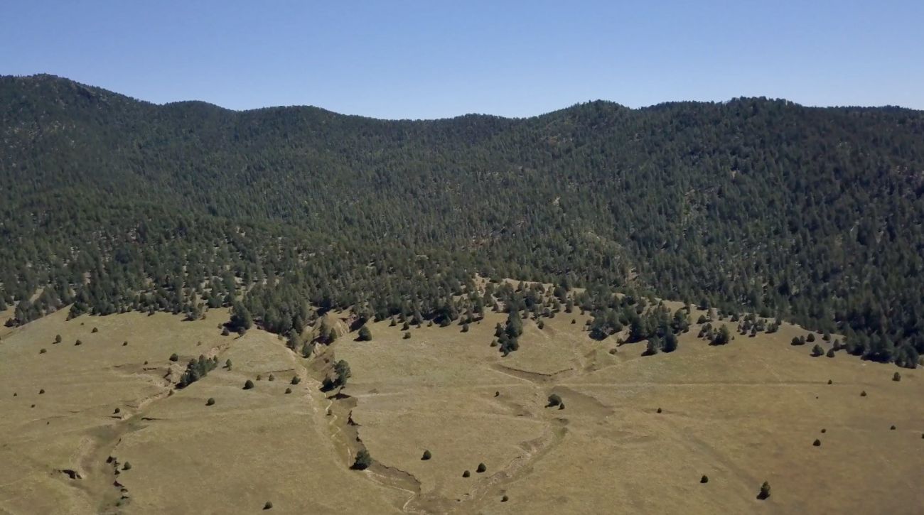 west-to-romero-hills-new-mexico-romero-hills-ranch