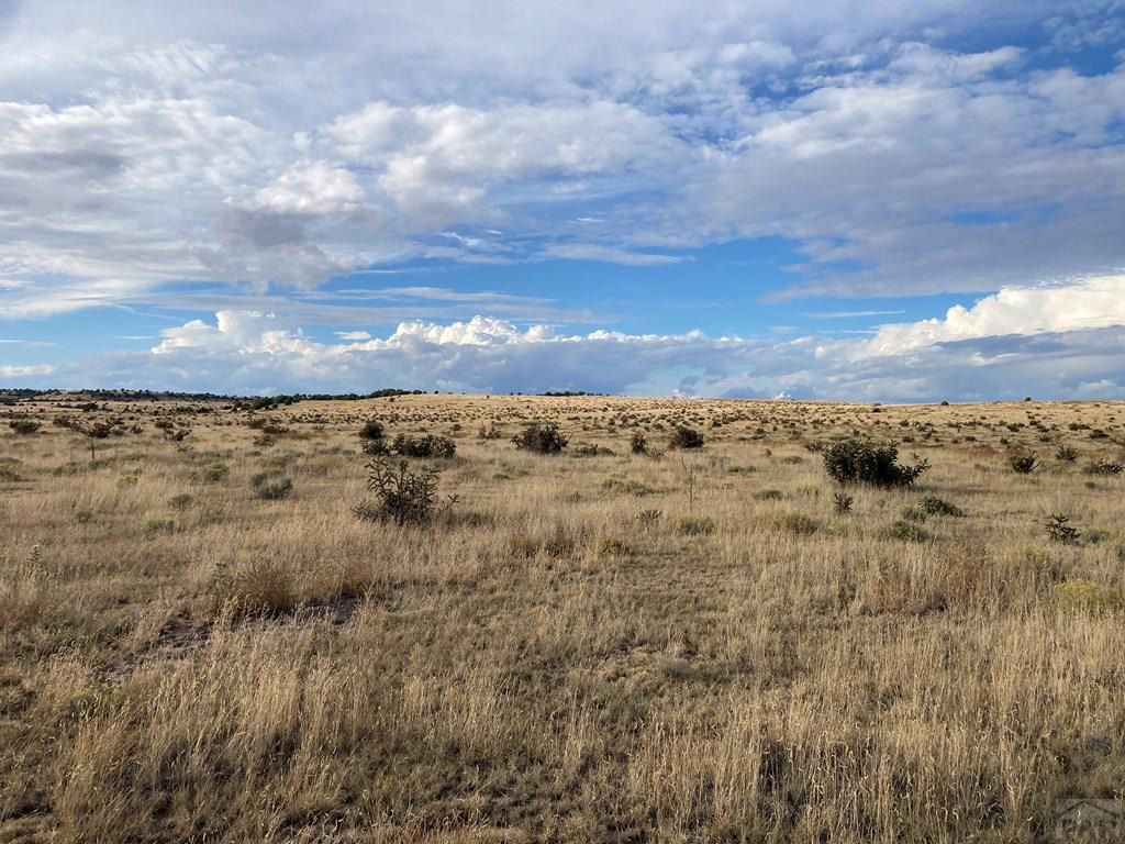 meadow-view-colorado-saddoris-ranch-east