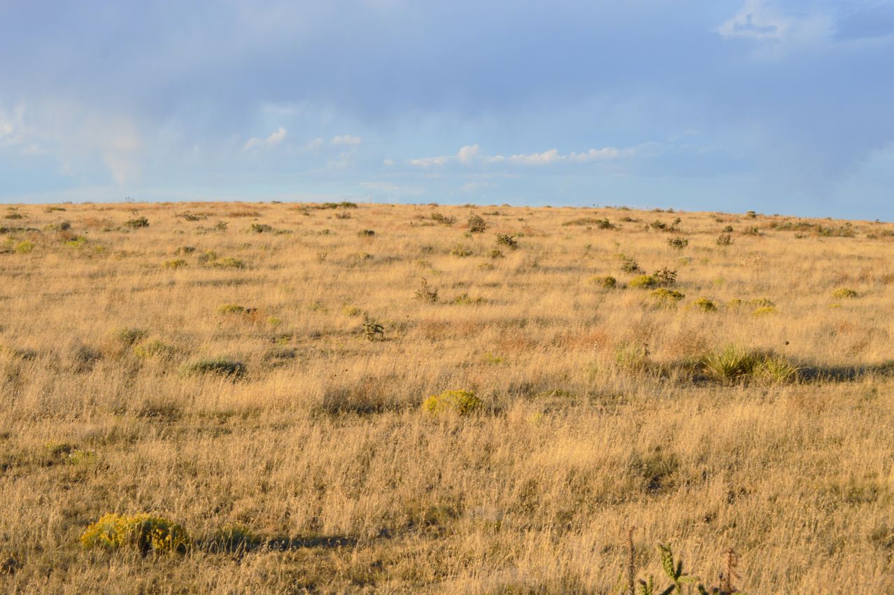 northern-hill-colorado-saddoris-ranch-east