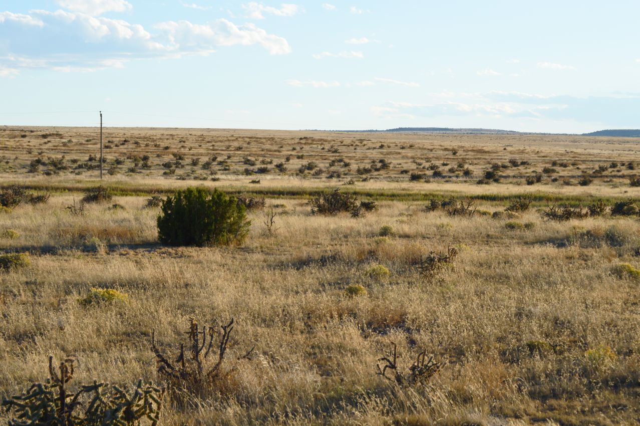 pintada-creek-drainage-view-colorado-saddoris-ranch-east