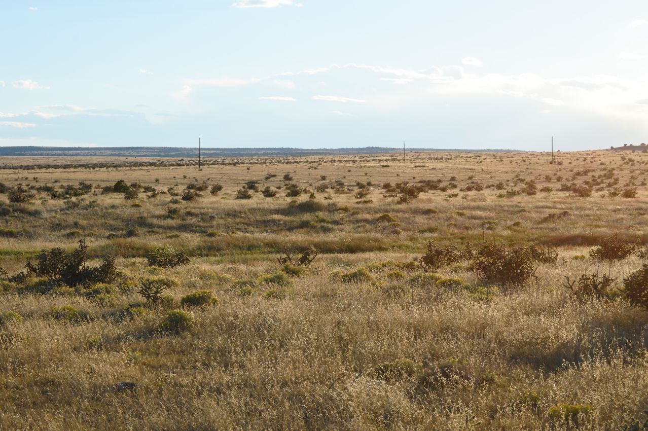 power-lines-along-the-road-colorado-saddoris-ranch-east