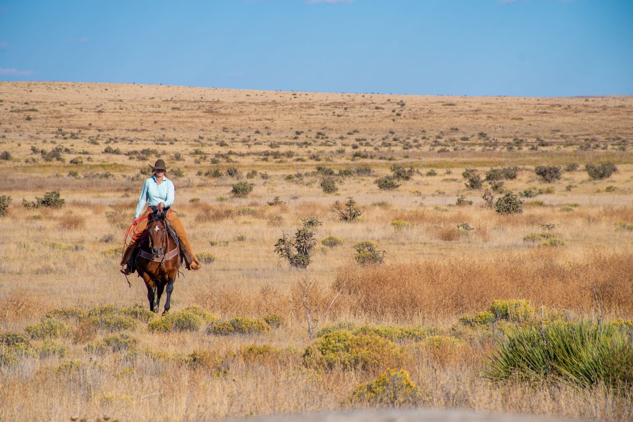 riding-south-colorado-saddoris-ranch-east