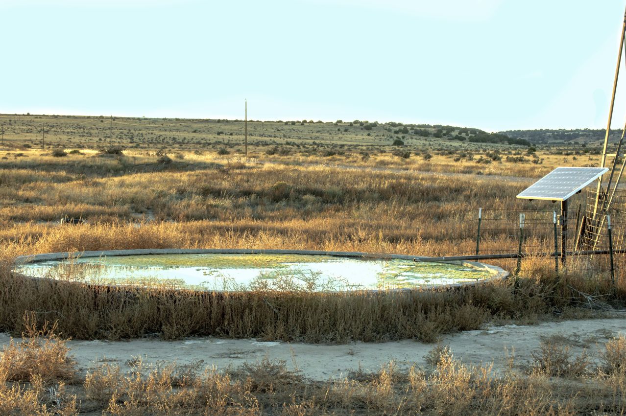 solar-well-colorado-saddoris-ranch