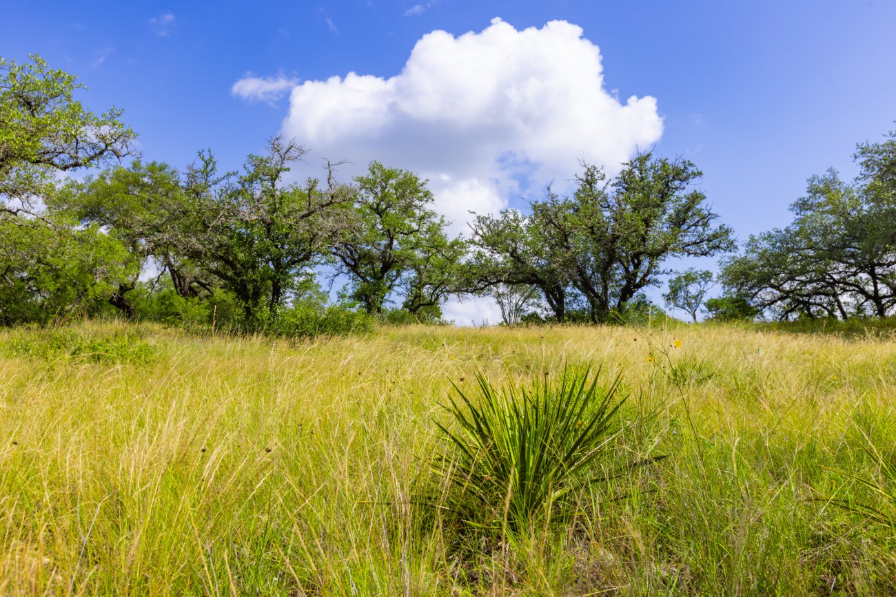 Spicewood-Retreat-12