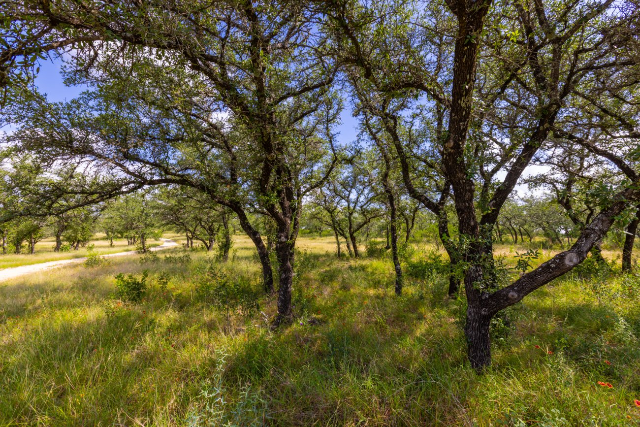 Spicewood-Retreat-6