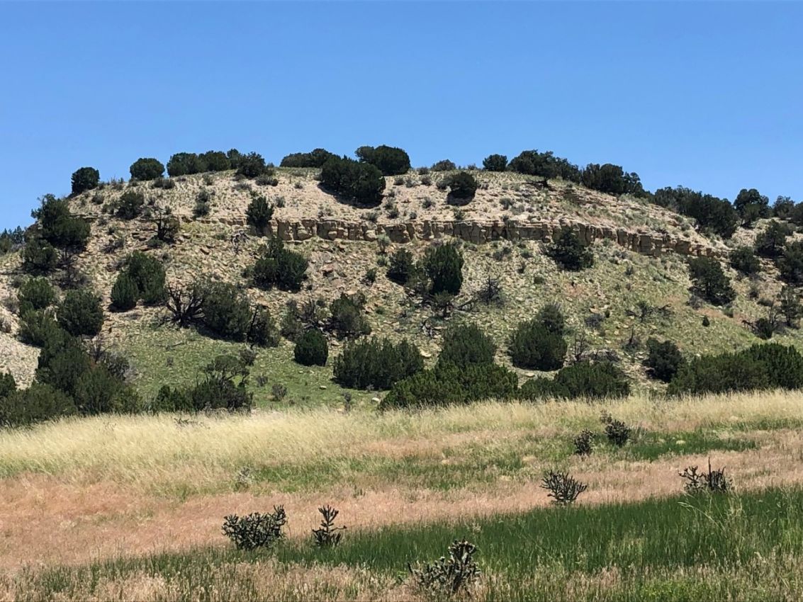 Rocky-Bluff-Juniper-Trees-Colorado-Stone-Creek-Ranch