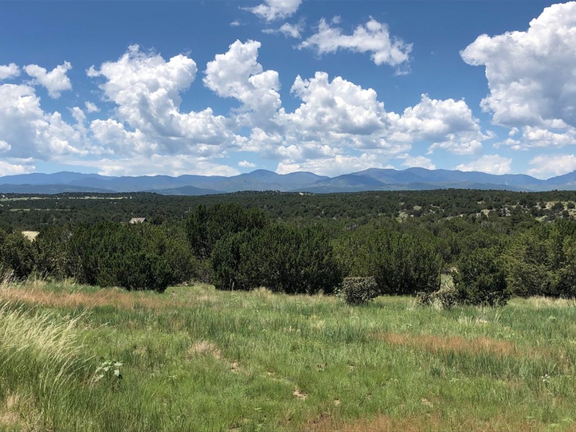 Wet-Mountain-View-Colorado-Stone-Creek-Ranch