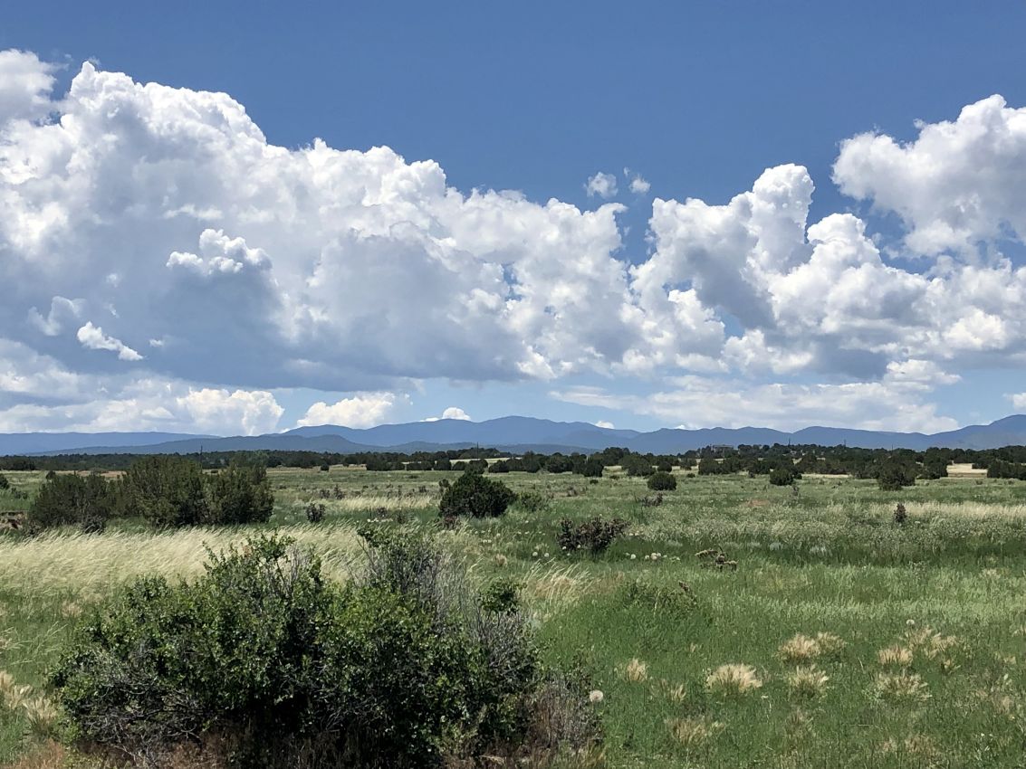 Wet-Mountains-Grassy-Meadow-Colorado-Stone-Creek-Ranch