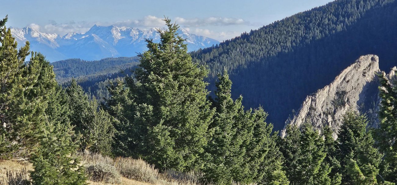 frog-rock-montana-the-schmidt-ranch frog-rock-montana-the-schmidt-ranch