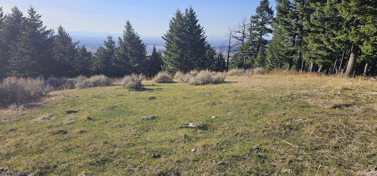 grass-area-montana-the-schmidt-ranch grass-area-montana-the-schmidt-ranch
