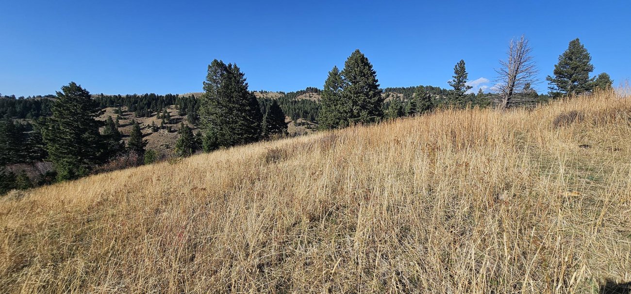 hills-on-side-of-mountain-montana-the-schmidt-ranch hills-on-side-of-mountain-montana-the-schmidt-ranch