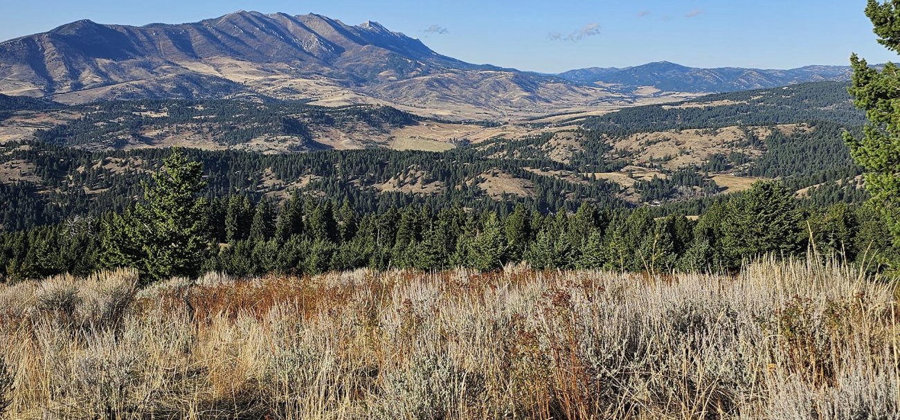 sage-grass-land-montana-the-schmidt-ranch sage-grass-land-montana-the-schmidt-ranch