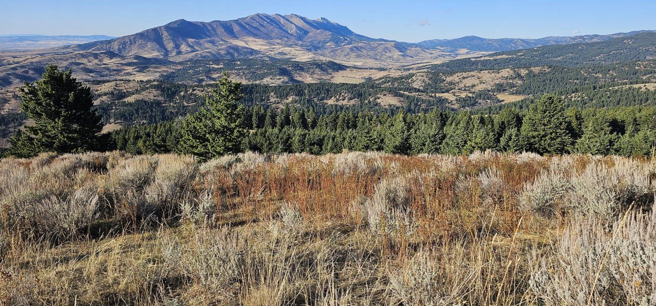 sage-grass-ridgeline-montana-the-schmidt-ranch sage-grass-ridgeline-montana-the-schmidt-ranch