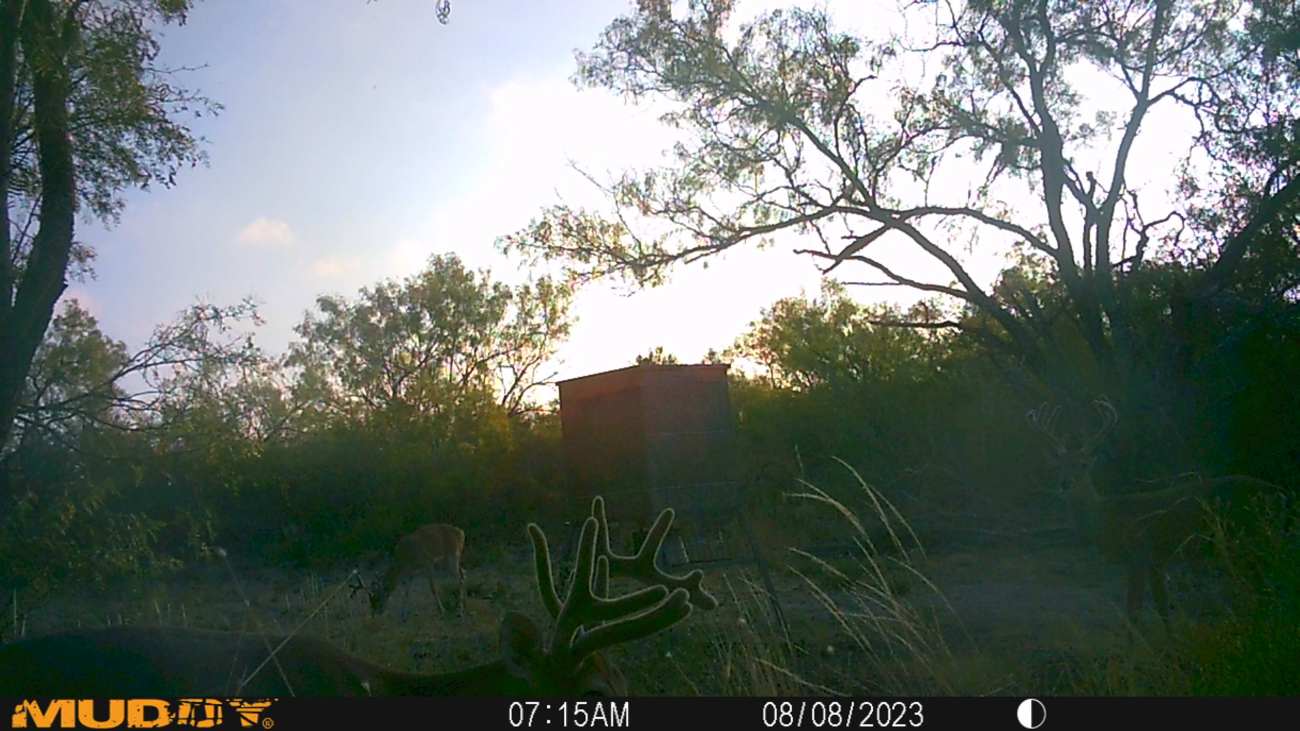 Trail Camera[MP:06]