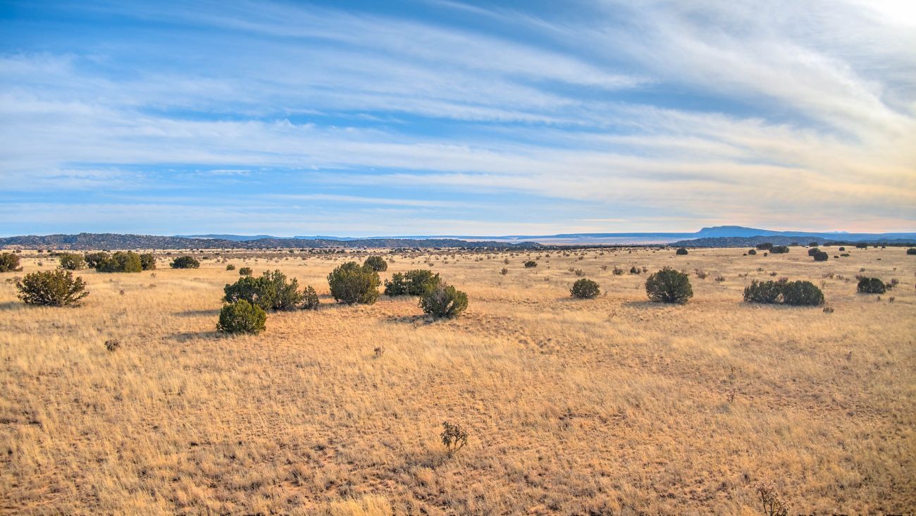 galisteo-view-new-mexico-tranquila-ranch