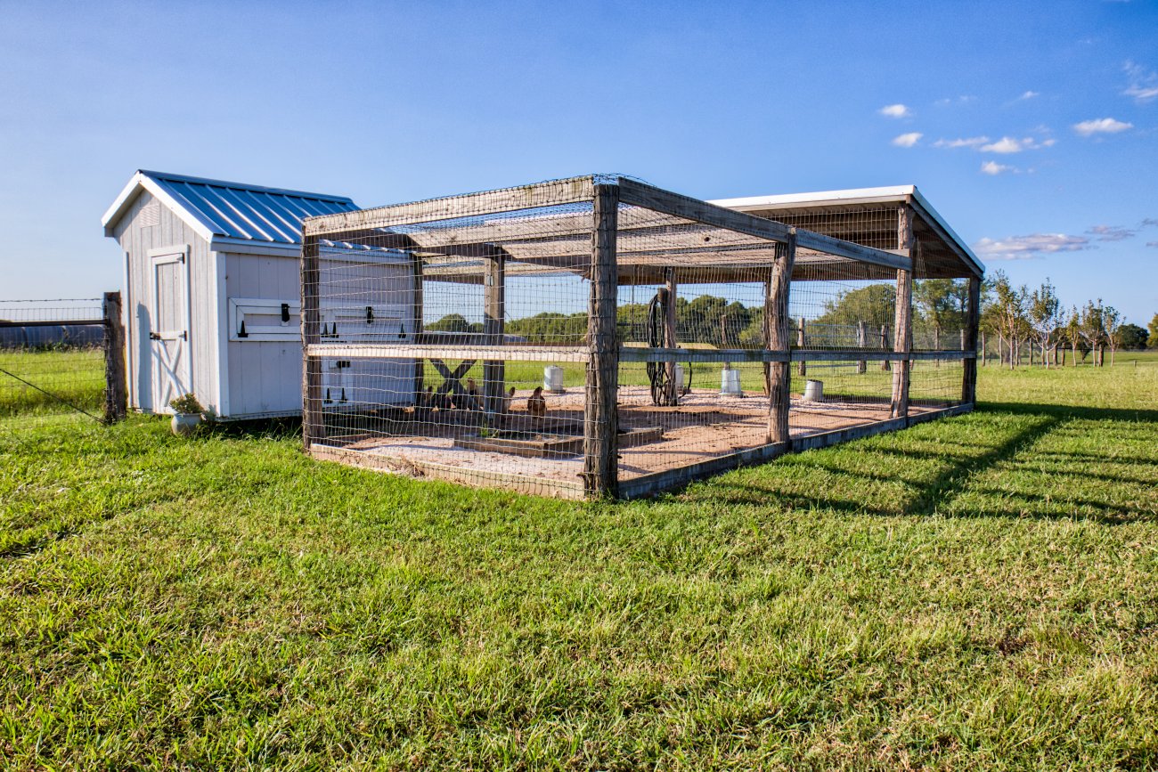 10.-Whitehall_Ranch-343 10.-Whitehall_Ranch-343